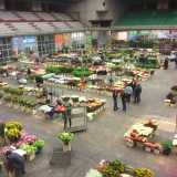 Una panoramica del mercato dall'alto, poco prima dell'apertura